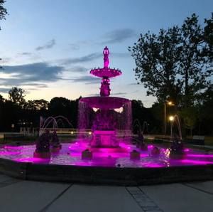 Meet your Posher, Ann